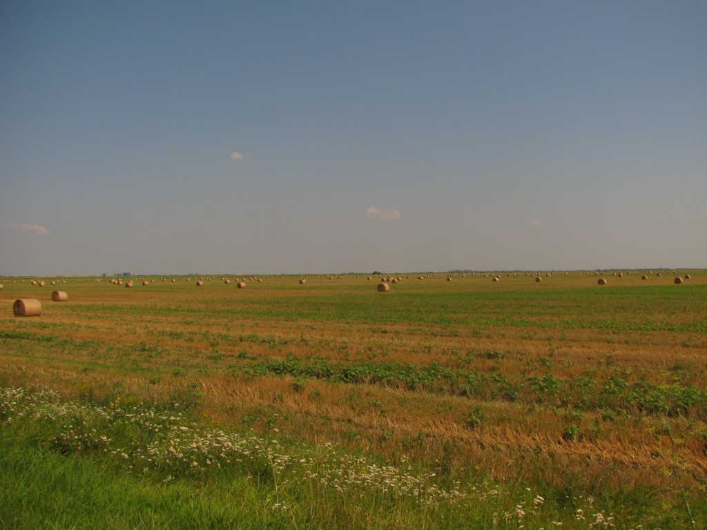 polja na putu do Sente preko Mokrina