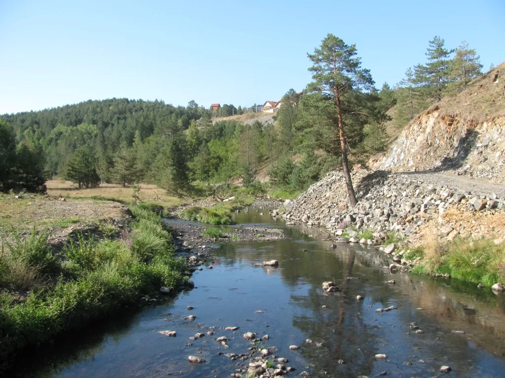 Zlatibore, pitaj Taru