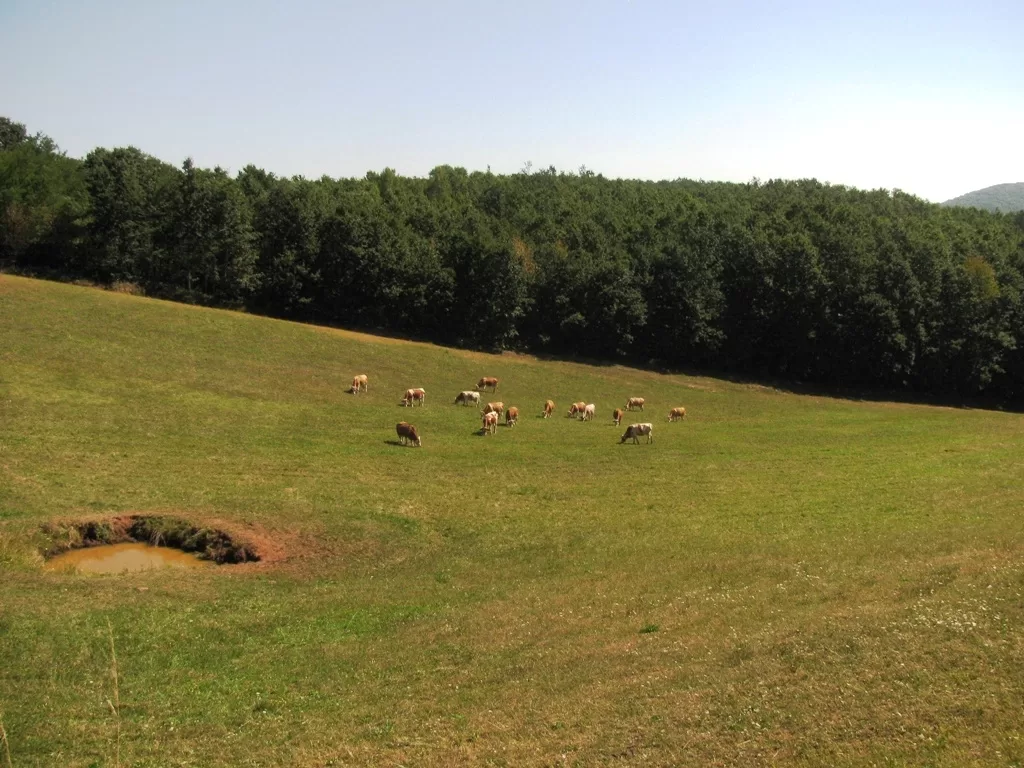 Užice - Zlatibor